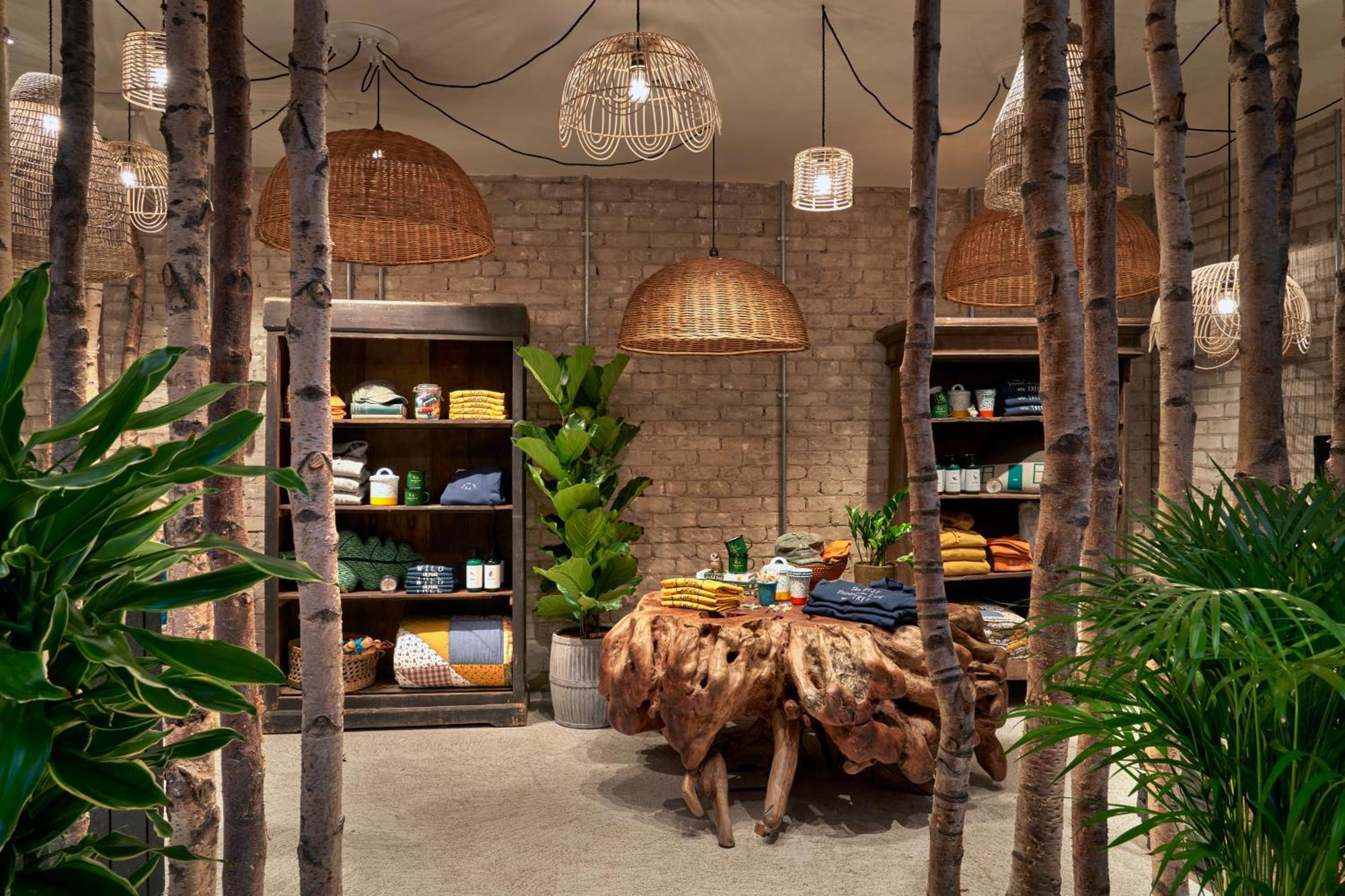 Treehouse Hotel Манчестър Екстериор снимка
